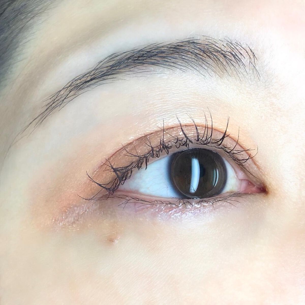 アイパレット/sopo/アイシャドウパレットを使ったクチコミ（3枚目）