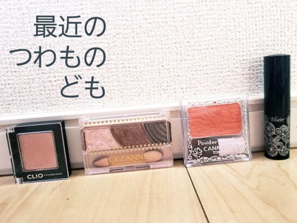 プロ シングル シャドウ/CLIO/単色アイシャドウを使ったクチコミ(1枚目)