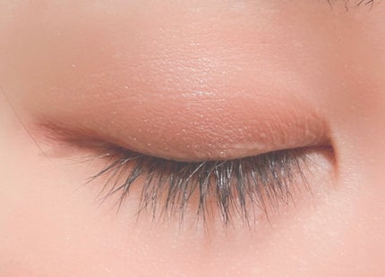 プティパレットアイズ(マットタイプ)/キャンメイク/パウダーアイシャドウを使ったクチコミ(4枚目)