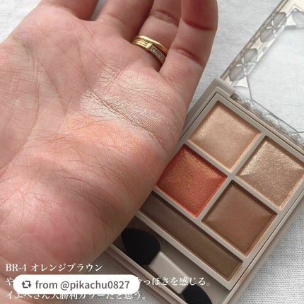 パノラマデザイン アイパレット/Visée/アイシャドウパレットを使ったクチコミ(6枚目)