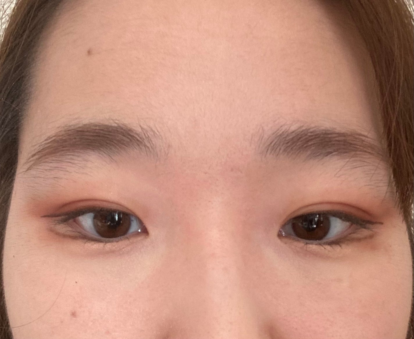 ミックスアイブロウ/キャンメイク/パウダーアイブロウを使ったクチコミ(1枚目)