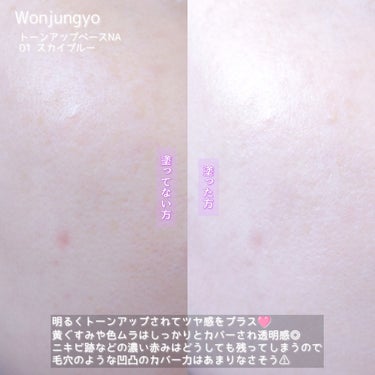 ウォンジョンヨ トーンアップベース NA/Wonjungyo/化粧下地を使ったクチコミ（5枚目）