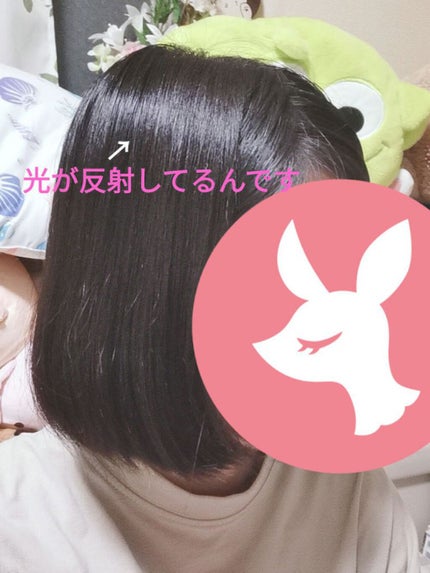 オイルインシャンプー/オイルインコンディショナー(リッチ&リペア)/ディアボーテ/市販シャンプーを使ったクチコミ(1枚目)