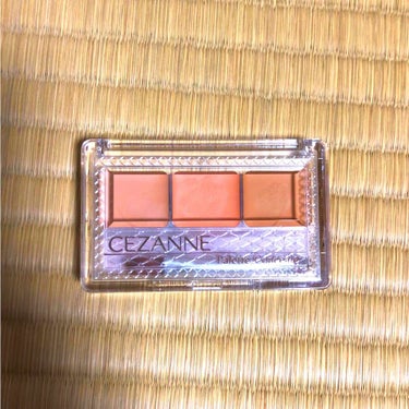 パレットコンシーラー/CEZANNE/パレットコンシーラーを使ったクチコミ（1枚目）