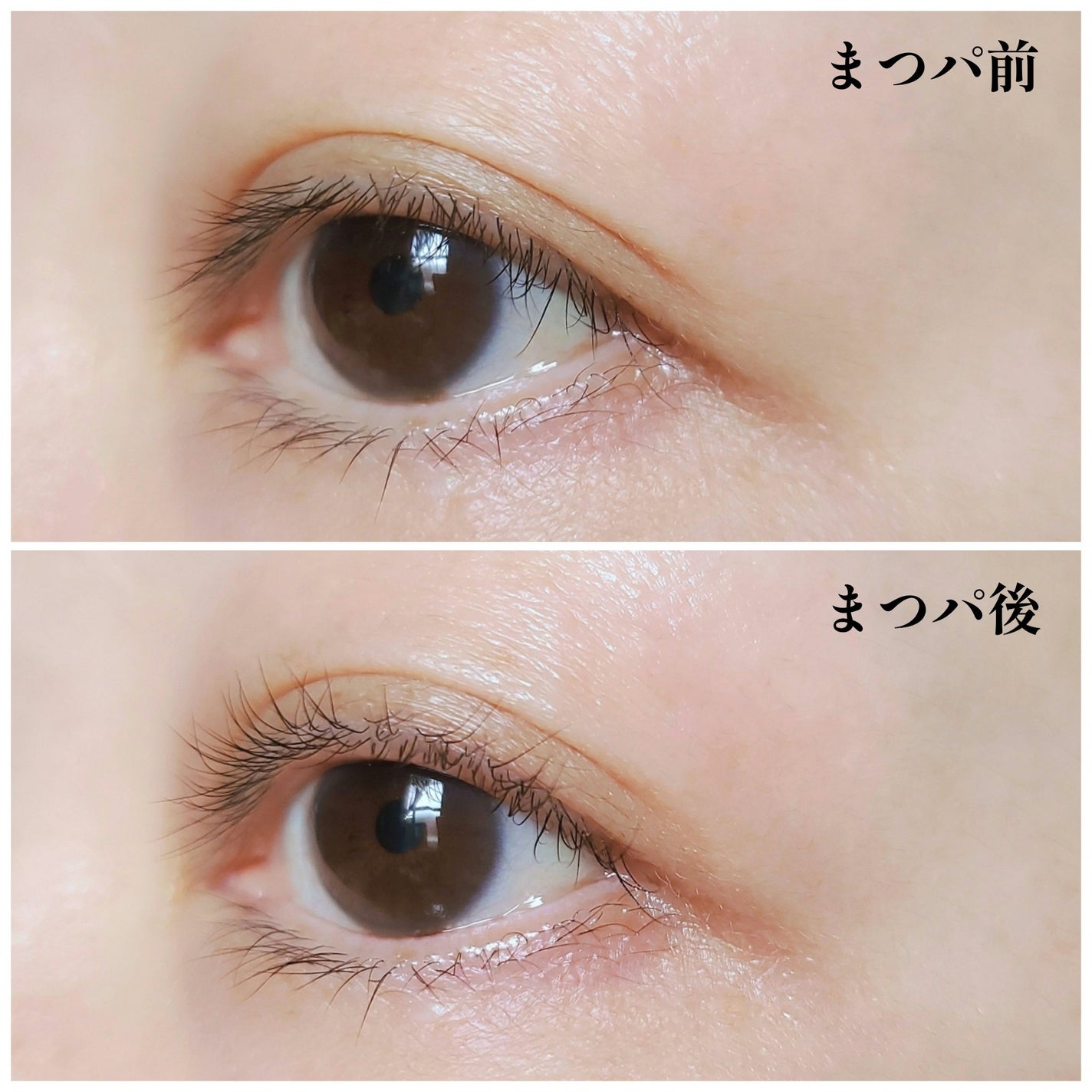 セルフまつ毛パーマキット/シルキーロールズ/その他キットセットを使ったクチコミ(4枚目)