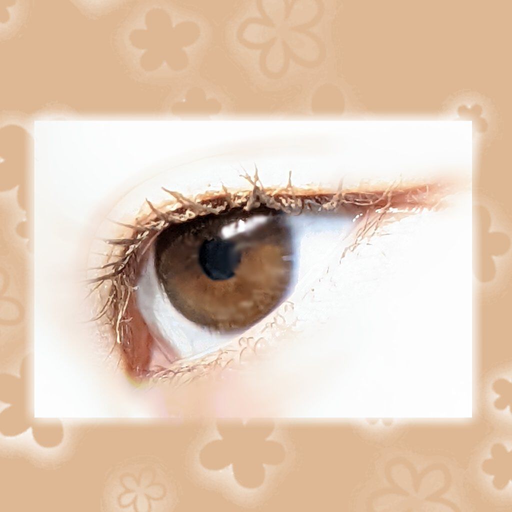 ロングステイフィルム/シアーズ/マスカラを使ったクチコミ（3枚目）