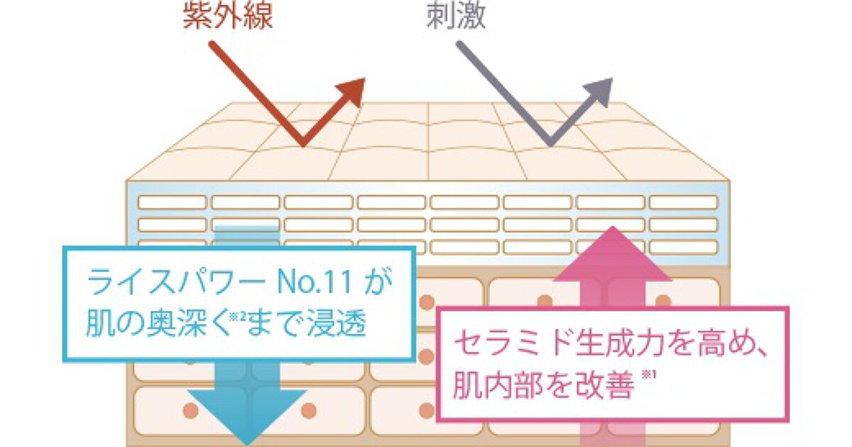 インナーモイスチュアローション No.11/RAIZ repair/化粧水を使ったクチコミ（3枚目）