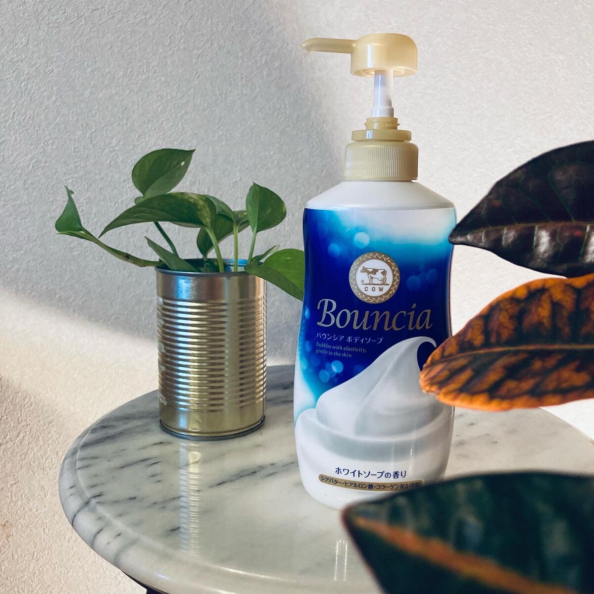 バウンシア ボディソープ ホワイトソープの香り/Bouncia/ボディソープを使ったクチコミ(1枚目)