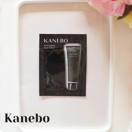 スクラビング マッド ウォッシュ/KANEBO/洗顔フォームを使ったクチコミ(1枚目)