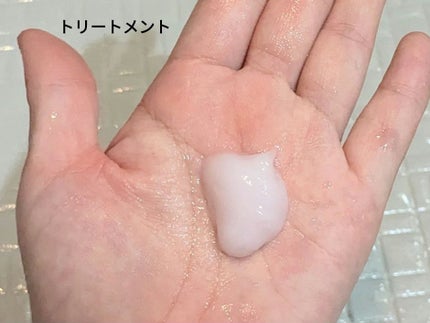 リフレッシュモーメントパフュームシャンプー/トリートメント Jeju Camellia/Free Moment /市販シャンプーを使ったクチコミ(9枚目)