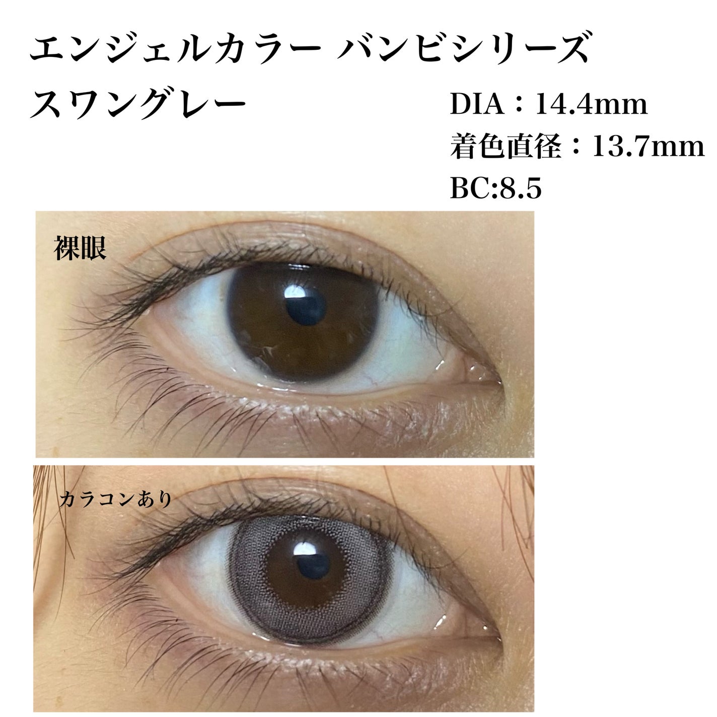 Angelcolor Bambi Series 1day /AngelColor/ワンデー(1DAY)カラコンを使ったクチコミ(2枚目)