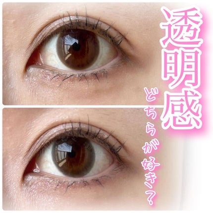 エバーカラーワンデー/エバーカラー/ワンデー(1DAY)カラコンを使ったクチコミ(1枚目)