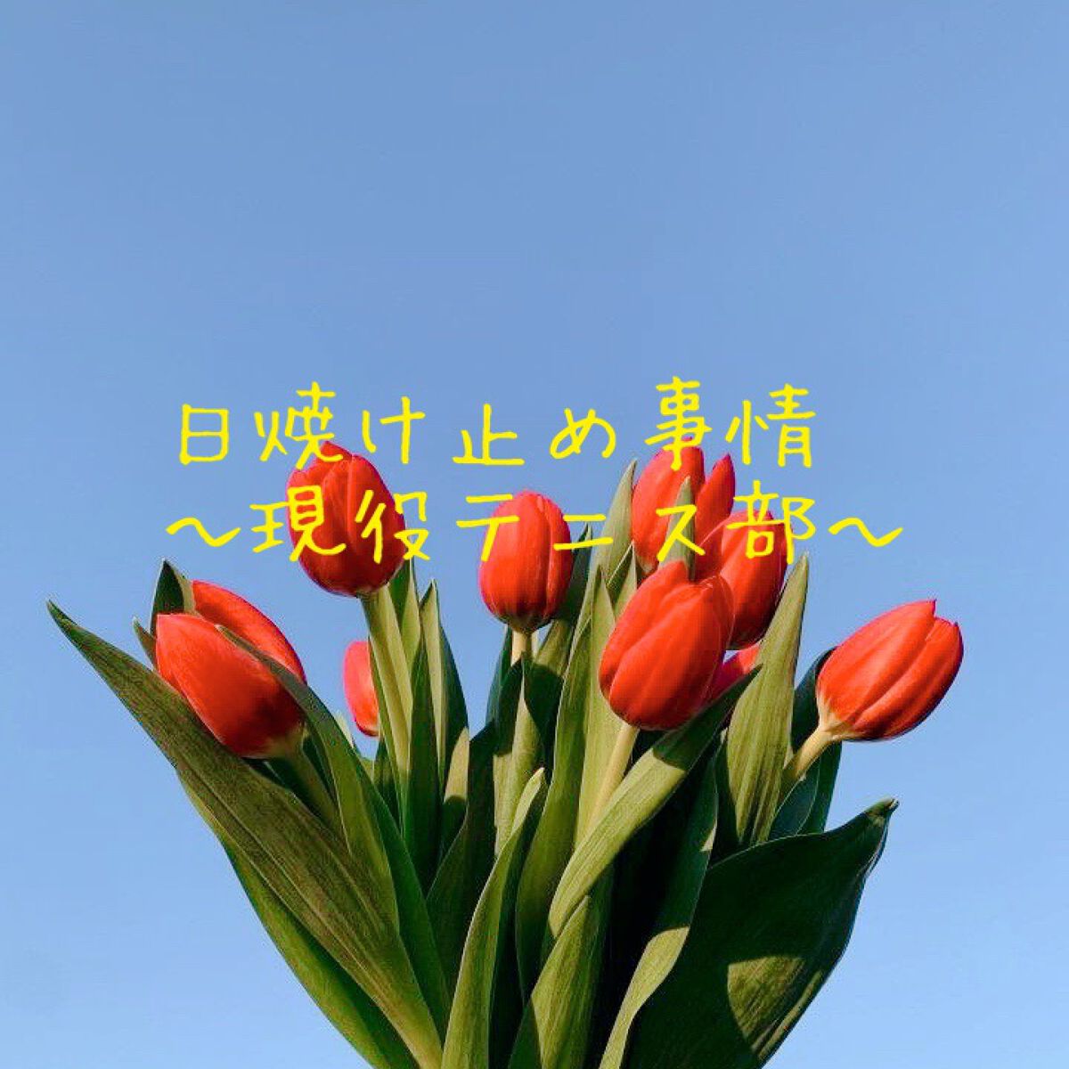 ビオレUV アクアリッチウォータリージェル /ビオレ/日焼け止め・UVケアを使ったクチコミ(1枚目)