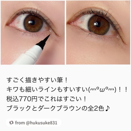 リキッド アイライナー 筆ペンタイプ/ちふれ/リキッドアイライナーを使ったクチコミ(6枚目)