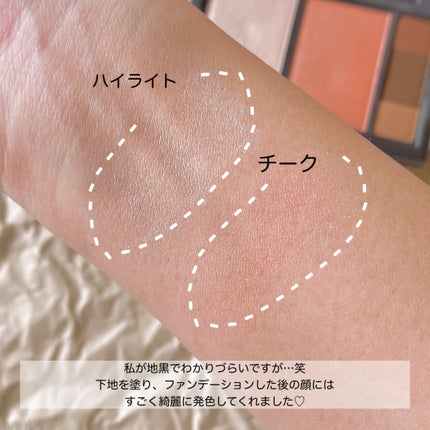 フィット my カラーパレット/STEIASUR(ステイアシュール)/マルチパレットを使ったクチコミ(3枚目)