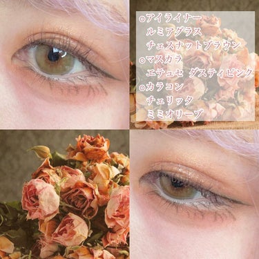 UR GLAM　BLOOMING EYE COLOR PALETTE/U R GLAM/パウダーアイシャドウを使ったクチコミ（3枚目）