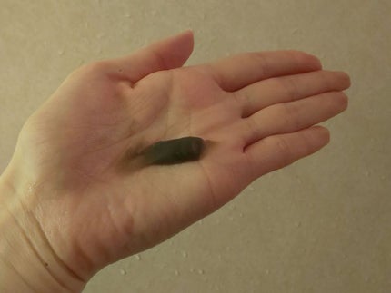 泥ジェル洗顔/ファンケル/その他洗顔料を使ったクチコミ(3枚目)