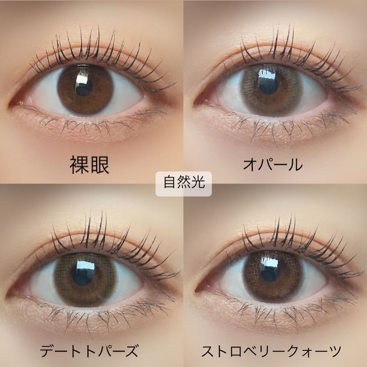 TOPARDS 1day/TOPARDS/ワンデー(1DAY)カラコンを使ったクチコミ(3枚目)