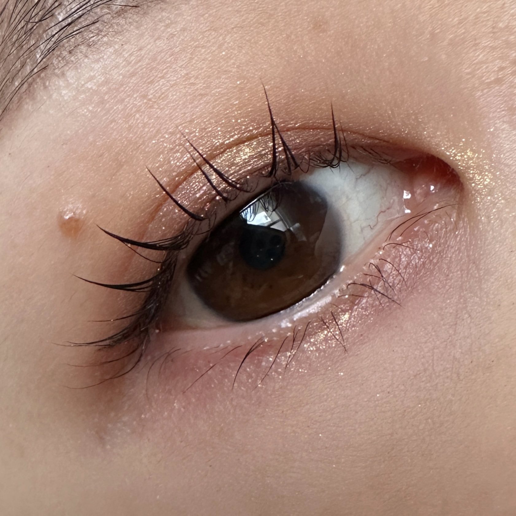 エレガンス ヌーヴェル アイズ 38/Elégance/アイシャドウパレットを使ったクチコミ（2枚目）