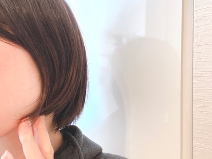 ダブルケアドライヤーse/ANLAN/ドライヤーを使ったクチコミ(8枚目)