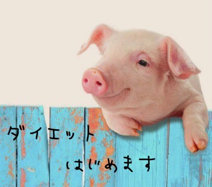 ã䜿ã£ãã¯ãã³ãïŒ1æç®ïŒ