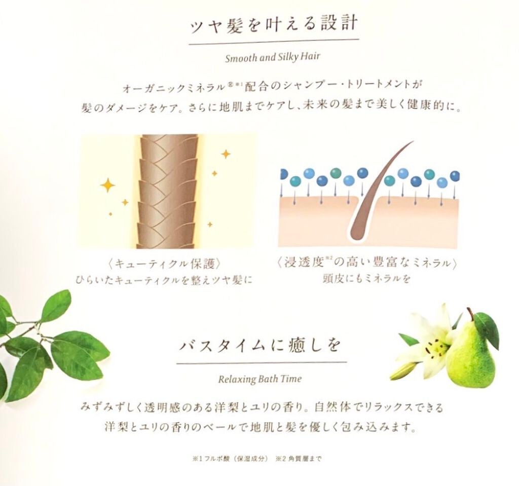 ã¹ã«ã«ãD ããŒã ããã¥ã©ã¹ã¿ãŒ ã¹ã«ã«ãã·ã£ã³ããŒïŒããªãŒãã¡ã³ãããã¯/ã¢ã³ãã¡ãŒ(ã¹ã«ã«ãD)/ã·ã£ã³ããŒã»ã³ã³ãã£ã·ã§ããŒã䜿ã£ãã¯ãã³ãïŒ6æç®ïŒ