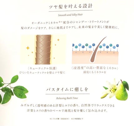 ã¹ã«ã«ãD ããŒã ããã¥ã©ã¹ã¿ãŒ ã¹ã«ã«ãã·ã£ã³ããŒïŒããªãŒãã¡ã³ãããã¯/ã¢ã³ãã¡ãŒ(ã¹ã«ã«ãD)/ã·ã£ã³ããŒã»ã³ã³ãã£ã·ã§ããŒã䜿ã£ãã¯ãã³ãïŒ6æç®ïŒ