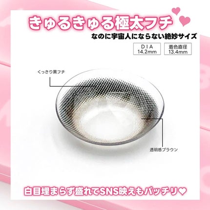 エバーカラーワンデーミリモア/エバーカラー/ワンデー(1DAY)カラコンを使ったクチコミ(3枚目)