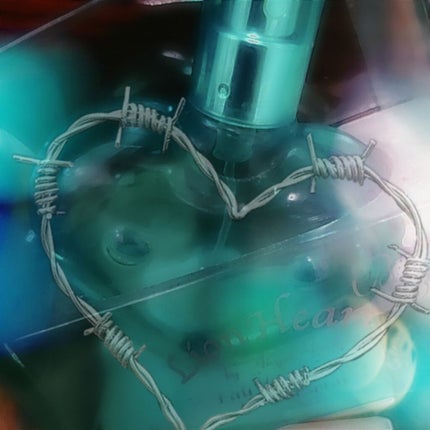 ライオン ハート ブラックビーチ/エンジェルハート/香水(メンズ)を使ったクチコミ(1枚目)