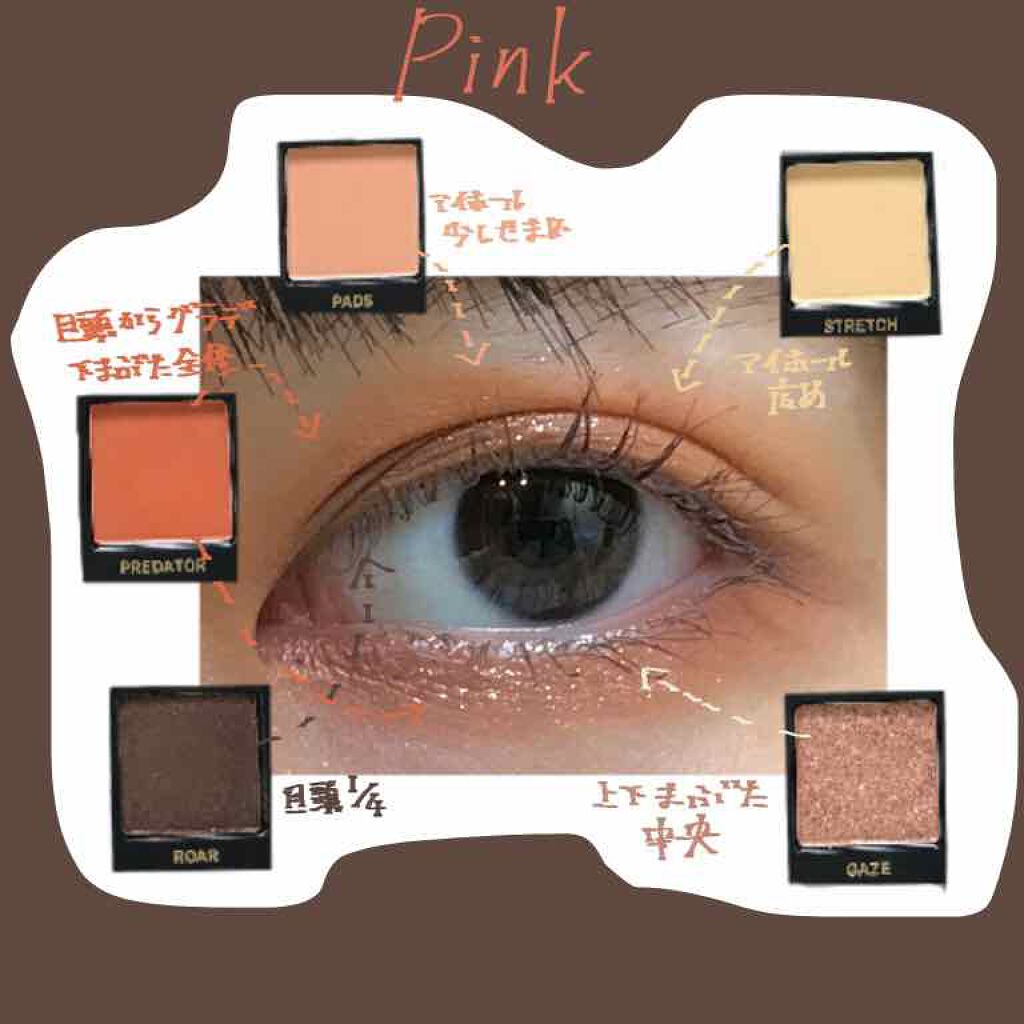 エクスプローラ12色 動物アイシャドウパレット/PERFECT DIARY/アイシャドウパレットを使ったクチコミ(3枚目)