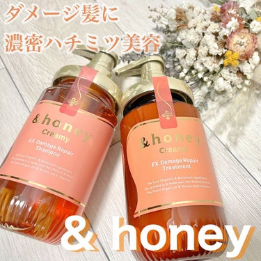 Creamy EXダメージリペアシャンプー1.0/ヘアトリートメント2.0/&honey/シャンプー・コンディショナーを使ったクチコミ（1枚目）