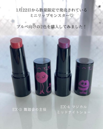 ケイト リップモンスター/KATE/口紅を使ったクチコミ(2枚目)