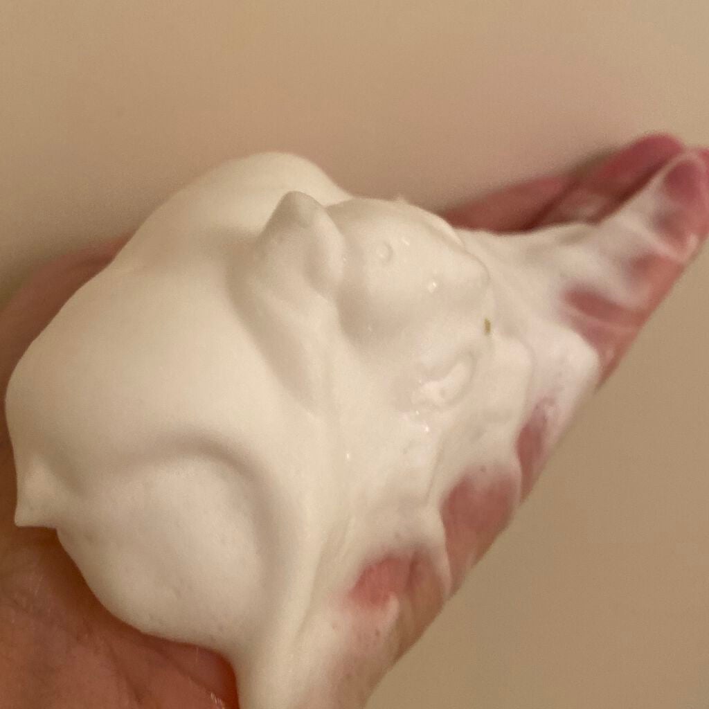 B.A ウォッシュ/B.A/洗顔フォームを使ったクチコミ(3枚目)