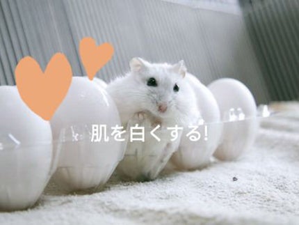 ハトムギ化粧水(ナチュリエ スキンコンディショナー R )/ナチュリエ/化粧水を使ったクチコミ(2枚目)
