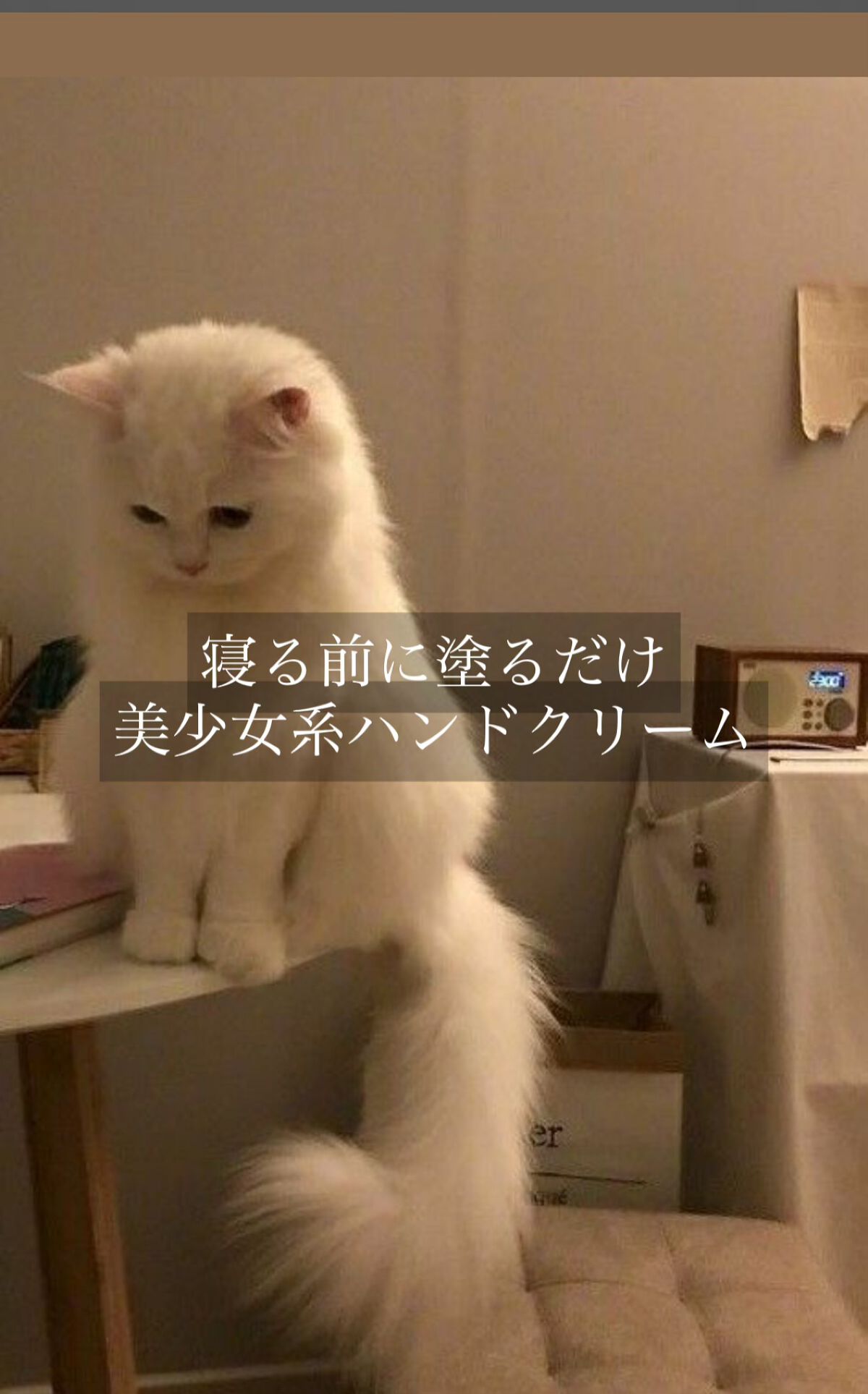 濃厚リペア デイクリーム/スキンコットン/フェイスクリームを使ったクチコミ(1枚目)