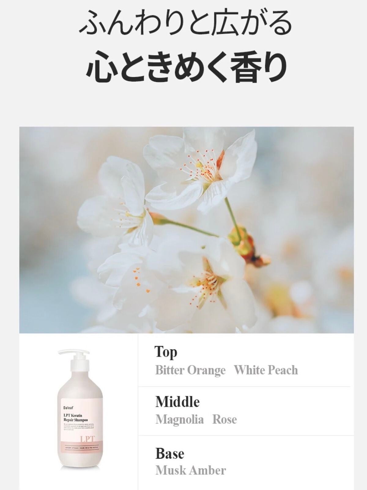 LPTケラチンリペアシャンプー/Daleaf/市販シャンプーを使ったクチコミ(4枚目)
