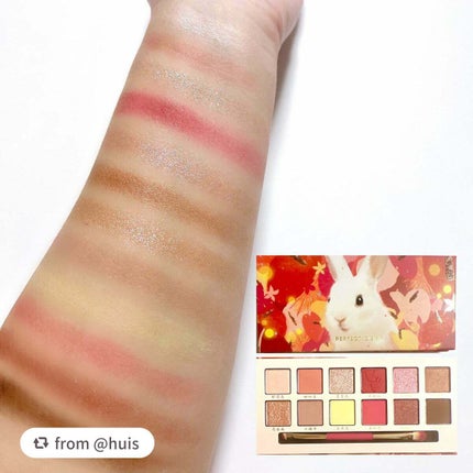 エクスプローラ12色 動物アイシャドウパレット/PERFECT DIARY/アイシャドウパレットを使ったクチコミ(4枚目)