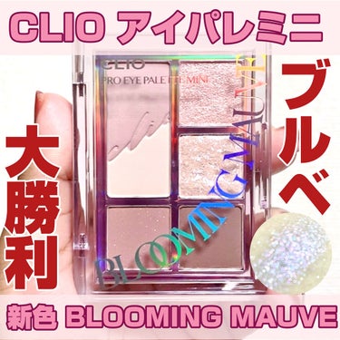 プロ アイパレット ミニ/CLIO/パウダーアイシャドウを使ったクチコミ（1枚目）