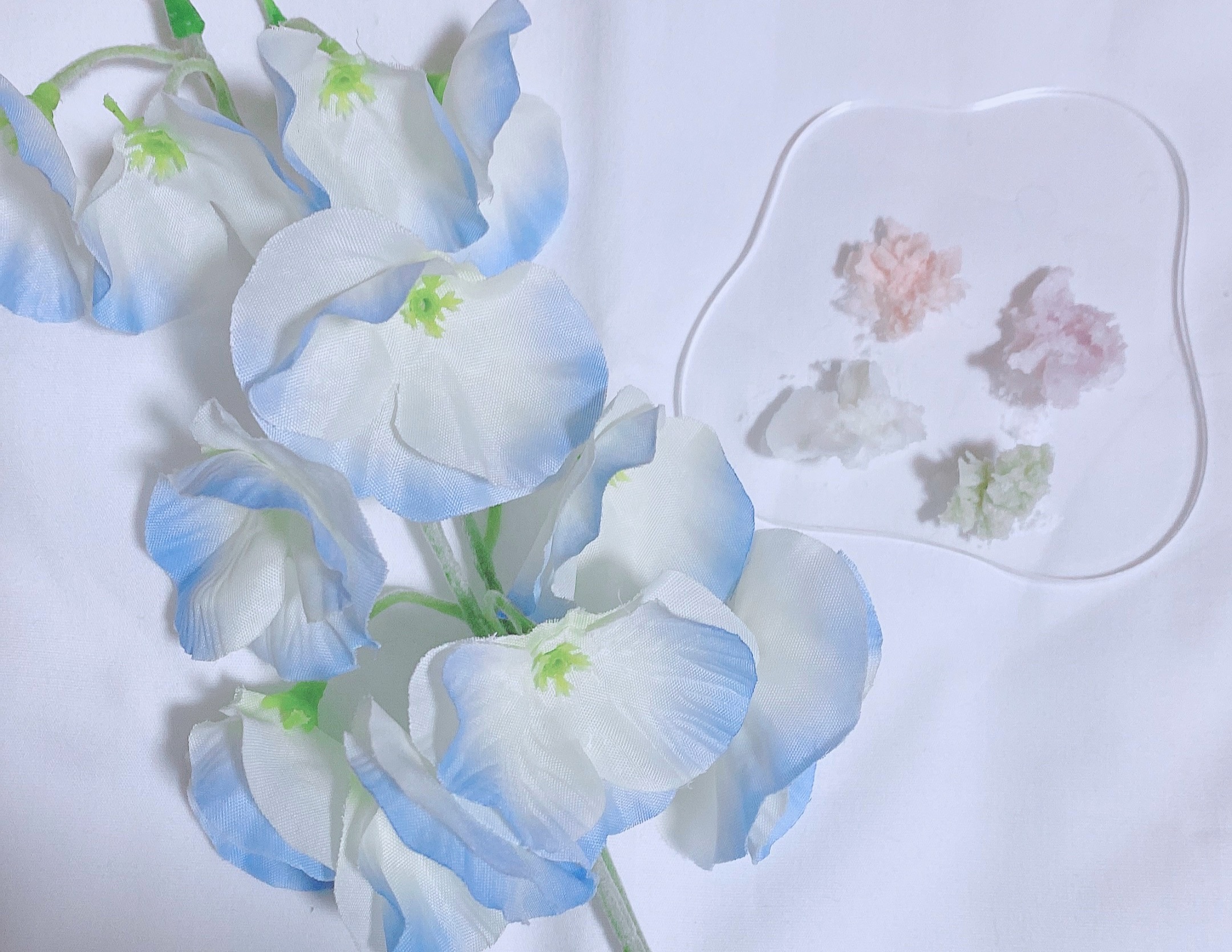 ホイップドヴィーガンパッククレンザーディスカバリーキット/WHIPPED/スキンケアキットを使ったクチコミ（3枚目）