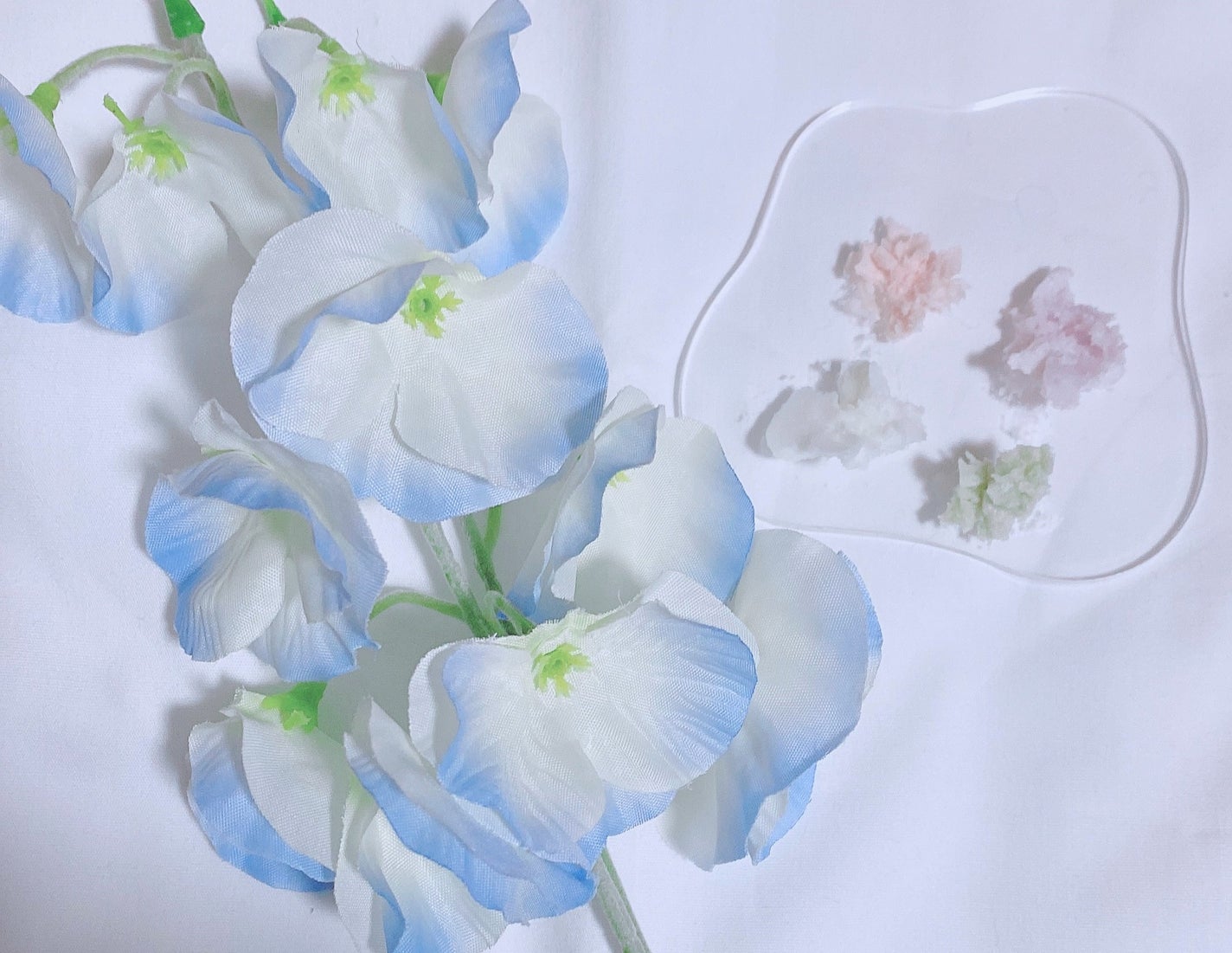 ホイップドヴィーガンパッククレンザーディスカバリーキット/WHIPPED/スキンケアキットを使ったクチコミ(3枚目)