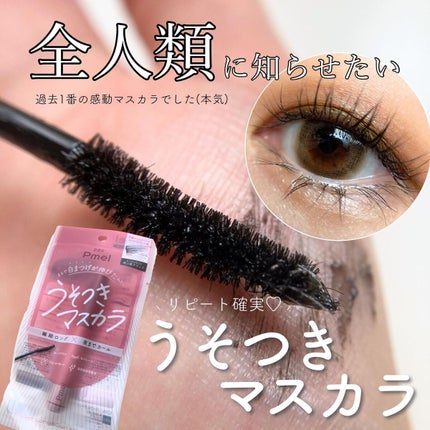 ピメル うそつきマスカラ/pdc/マスカラを使ったクチコミ(1枚目)