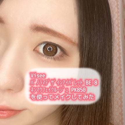 ネンマクフェイク ルージュ/Visée/口紅を使ったクチコミ(1枚目)