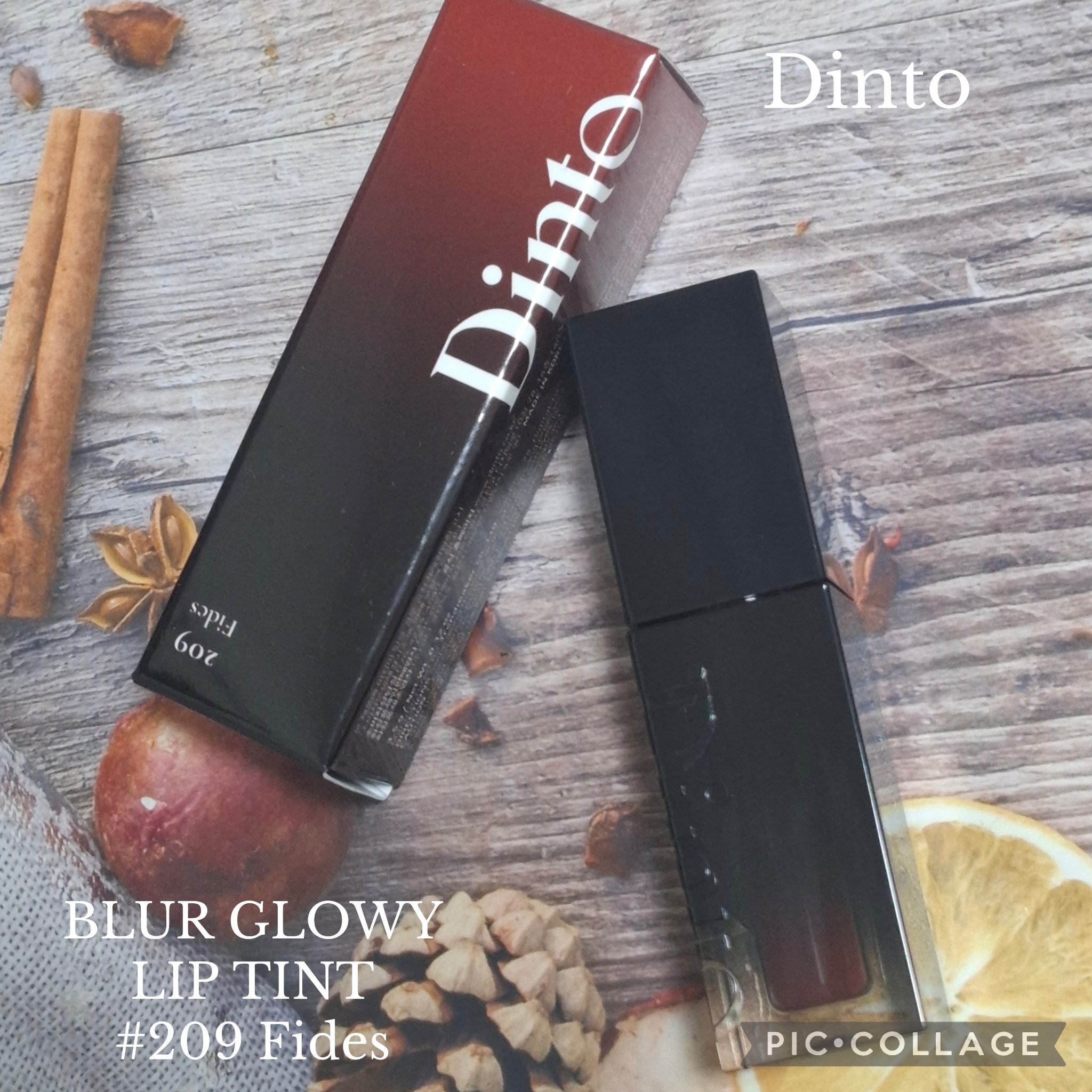 ブラーグロイリップティント 209 フィデス/Dinto/リップティントを使ったクチコミ（1枚目）
