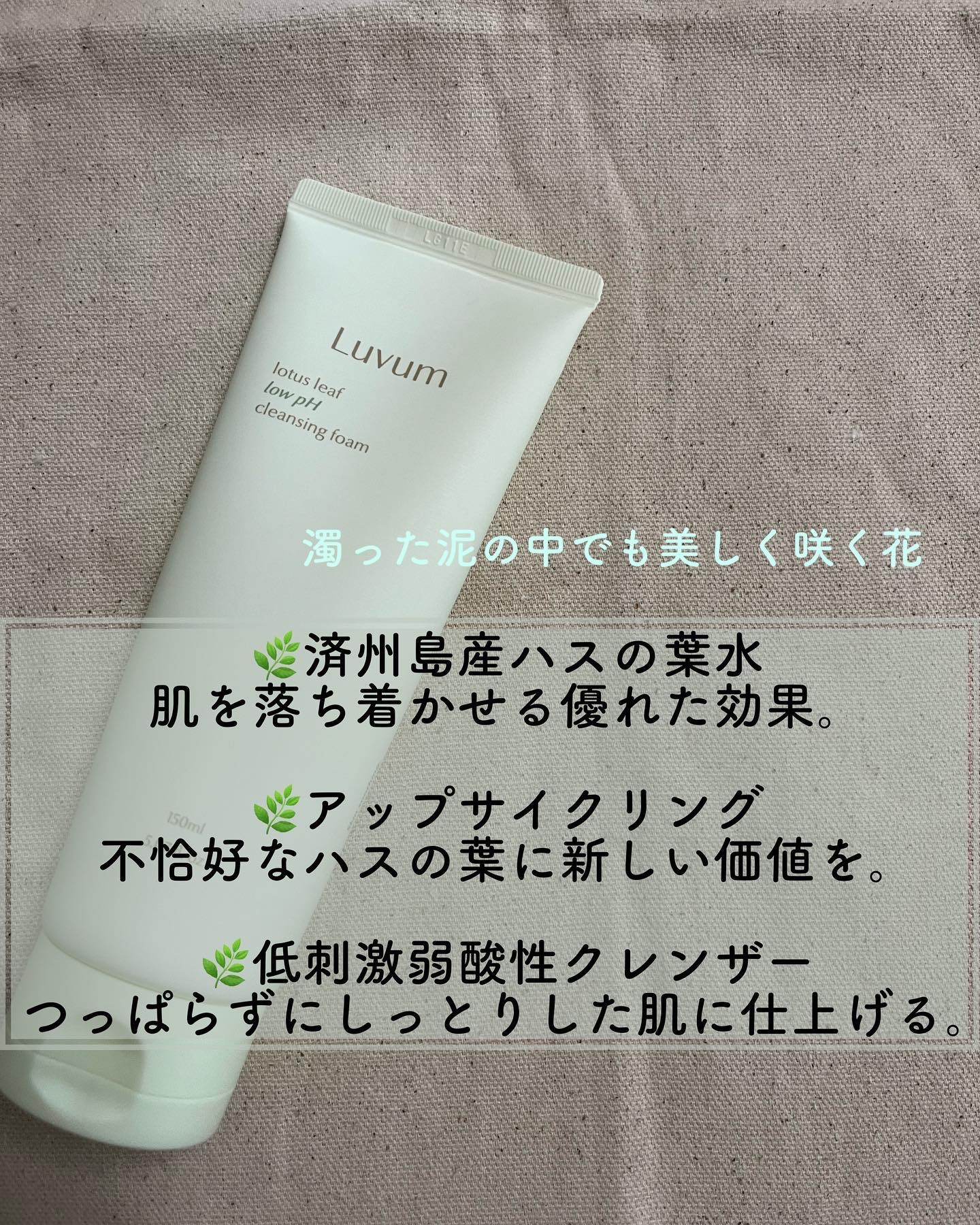 蓮の葉弱酸性クレンジングフォーム/Luvum/洗顔フォームを使ったクチコミ（2枚目）