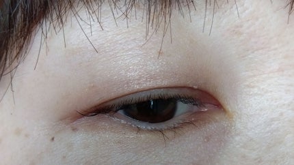 ベージュトーンアイシャドウ/CEZANNE/アイシャドウパレットを使ったクチコミ(6枚目)