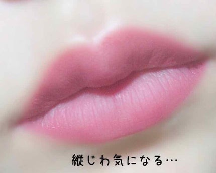 リップティントマット/キャンメイク/リップグロスを使ったクチコミ(2枚目)