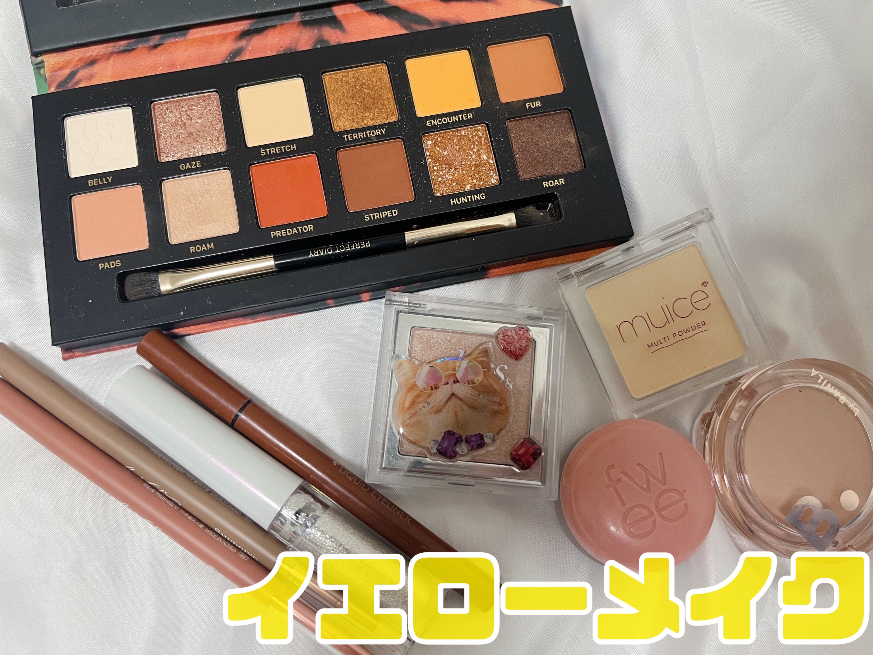 エクスプローラ12色 動物アイシャドウパレット/PERFECT DIARY/アイシャドウパレットを使ったクチコミ（1枚目）