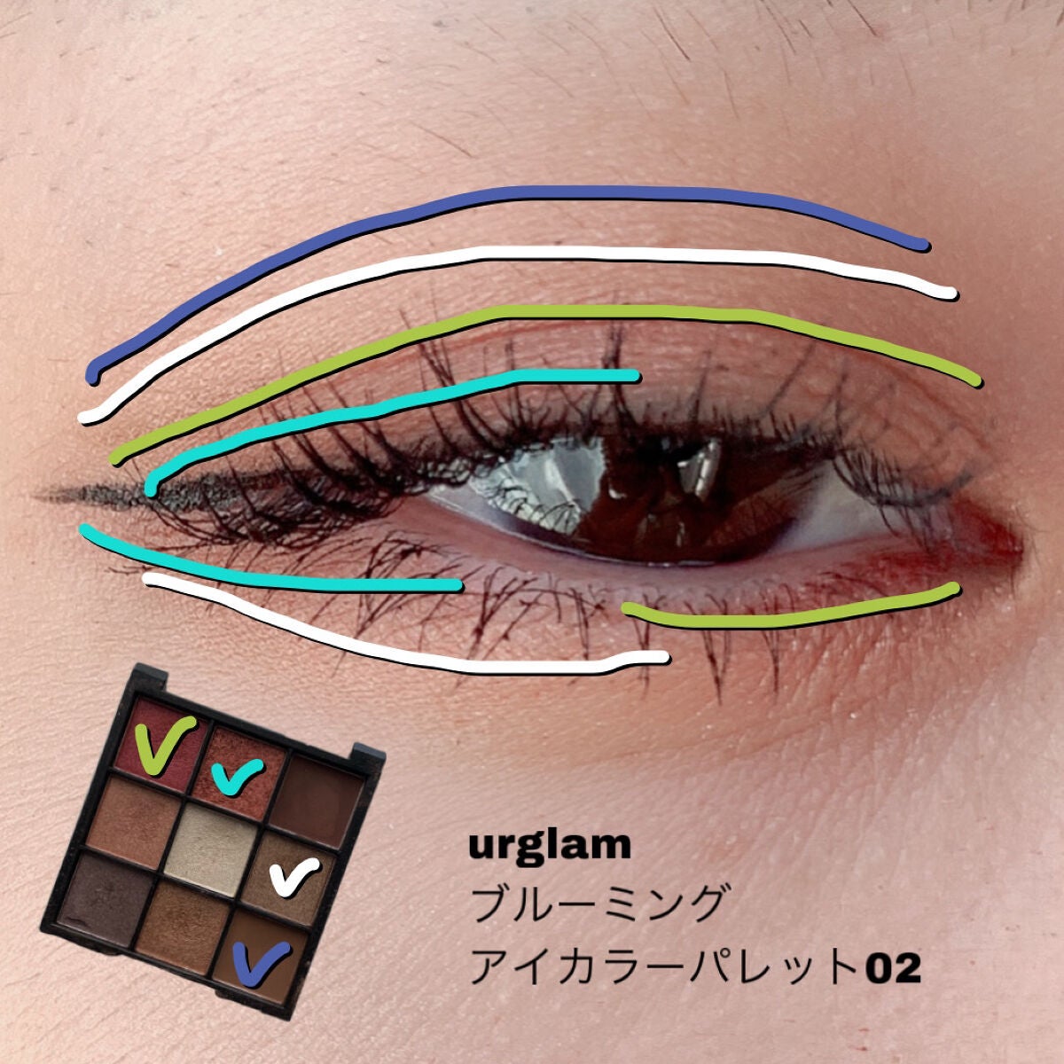 UR GLAM BLOOMING EYE COLOR PALETTE/U R GLAM/アイシャドウパレットを使ったクチコミ(2枚目)