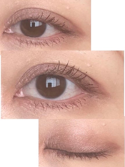 コンスピキュアス アイズ/Amplitude/アイシャドウパレットを使ったクチコミ(2枚目)