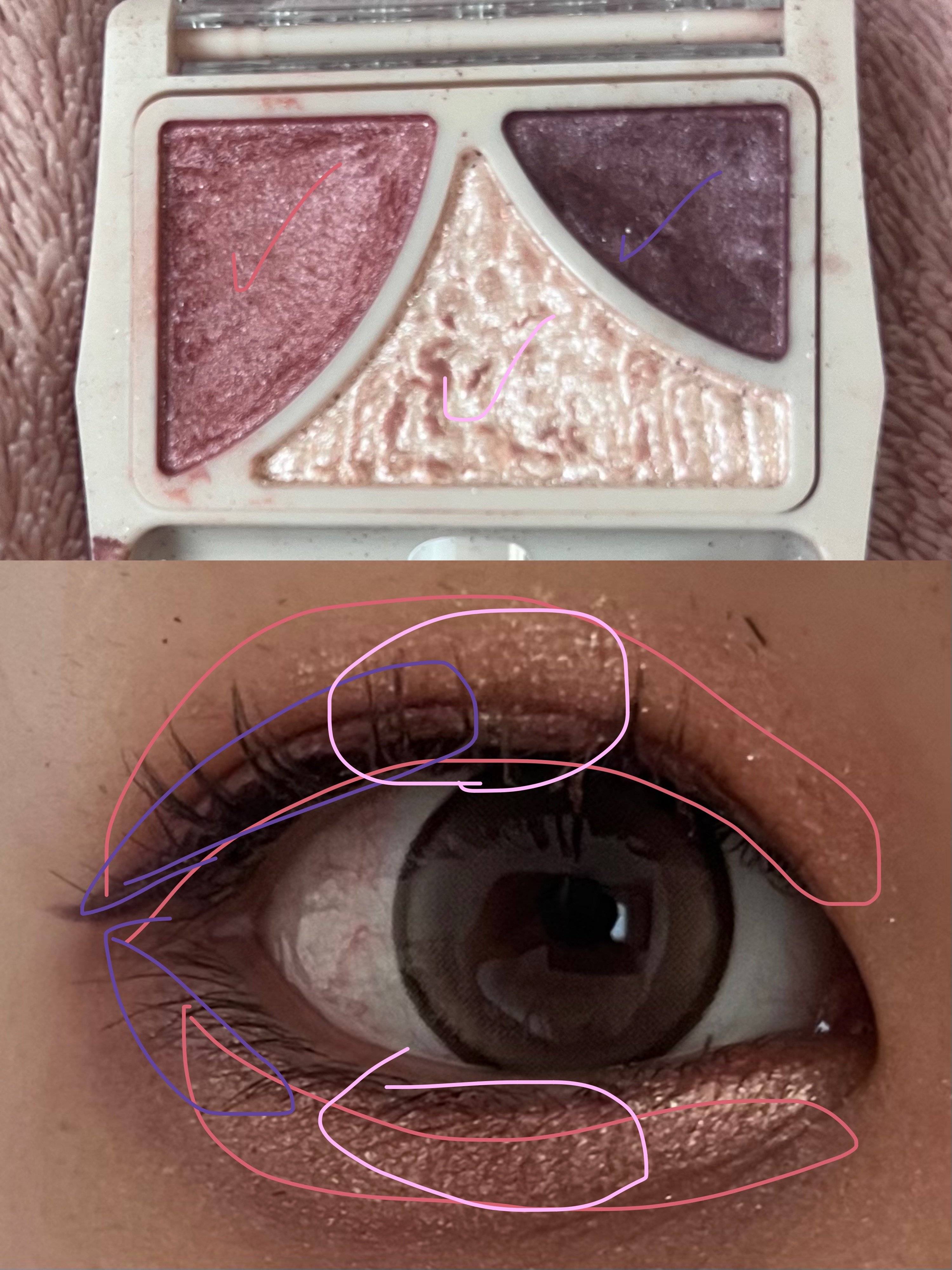 ジューシーピュアアイズ/キャンメイク/アイシャドウパレットを使ったクチコミ（2枚目）